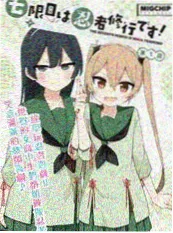 银月抄 漫改动画海报